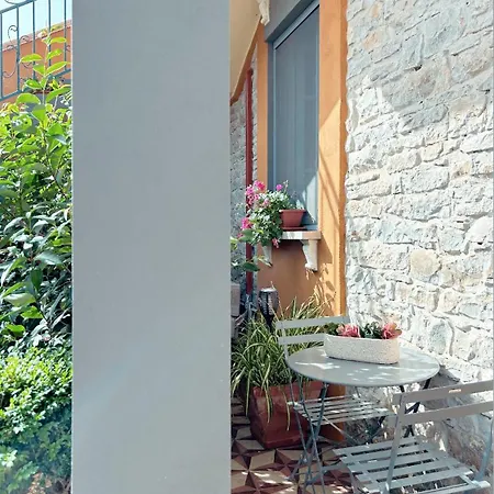 Art Action Villanovafranca